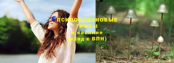 индика Елабуга
