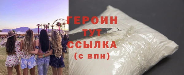 индика Елабуга