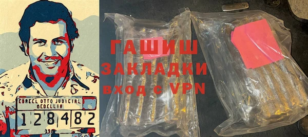 индика Елабуга