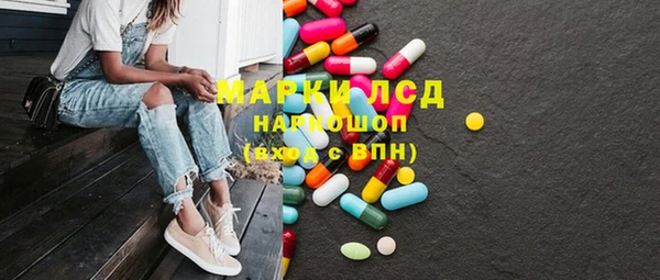 индика Елабуга