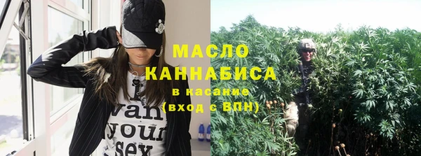мдма Ельня