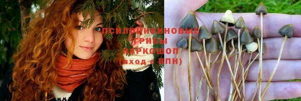 мдма Ельня