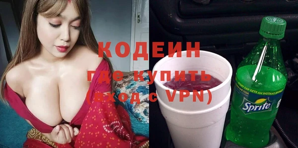индика Елабуга