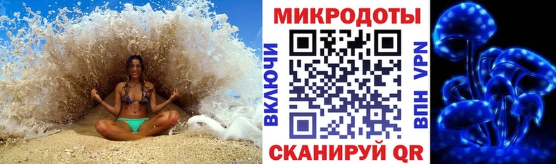 Псилоцибиновые грибы Cubensis  Псков 